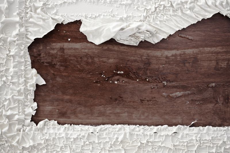 Wood Paint Removal detail